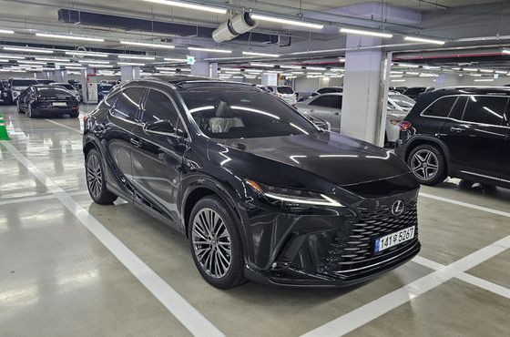 Lexus RX Luxury — пробег 20 км — фото 3 из 5
