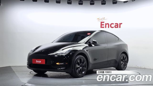 Tesla Model Y Standard Range RWD — пробег 53 028 км — фото 1 из 5