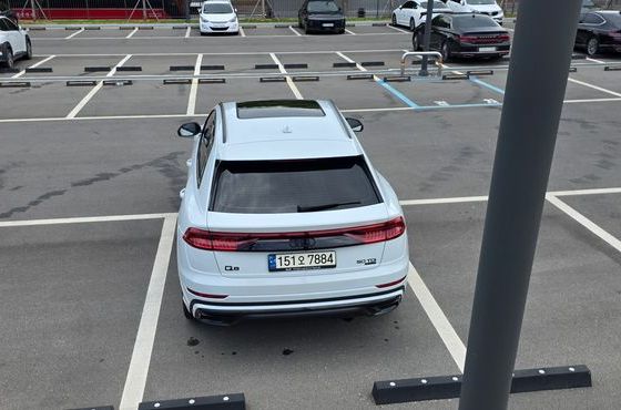 Audi Q8 50 TDI Quattro Premium — пробег 20 000 км — фото 1 из 5