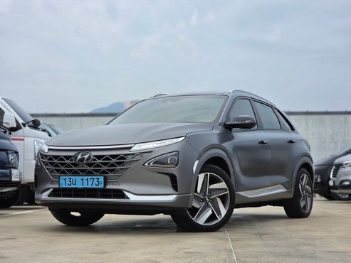 Hyundai Nexo Premium — пробег 78 369 км — фото 1 из 5