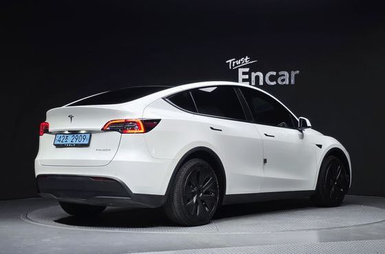 Tesla Model Y Long Range AWD — пробег 100 999 км — фото 2 из 5