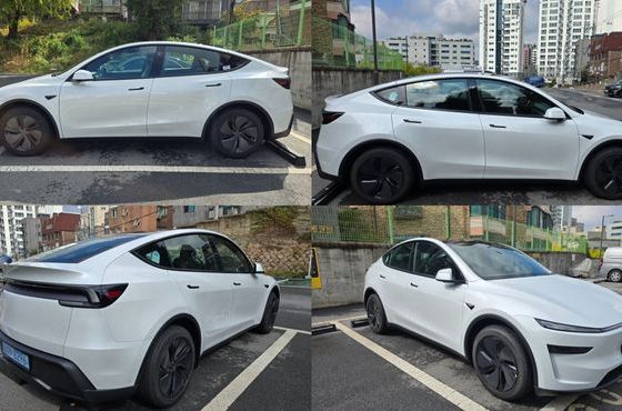 Tesla Model Y Premium RWD — пробег 35 км — фото 5 из 5