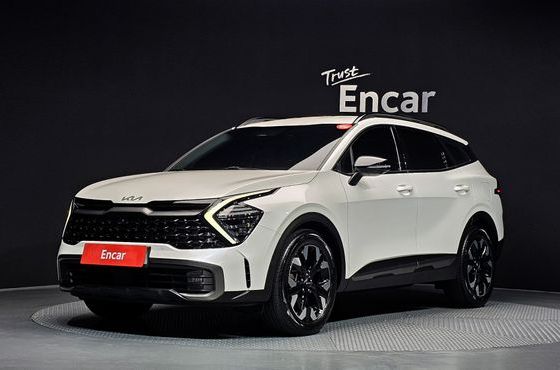 Kia Sportage Gasoline 1.6 Turbo 2WD Signature Gravity — пробег 53 695 км — фото 1 из 5