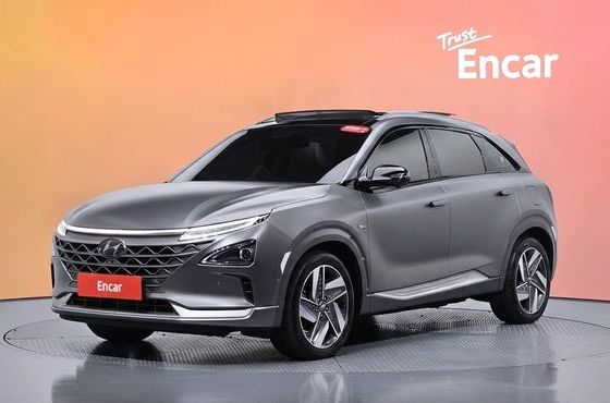 Hyundai Nexo Premium — пробег 109 824 км — фото 1 из 5