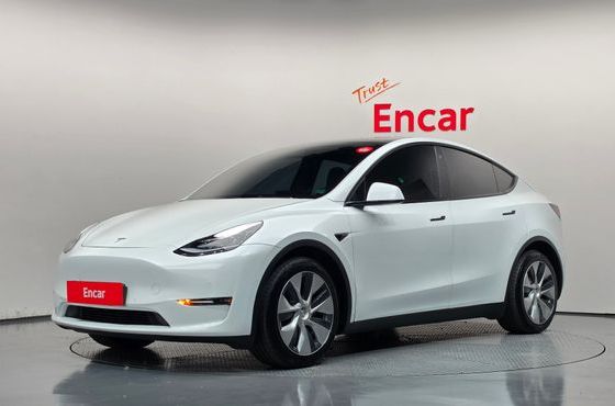 Tesla Model Y Long Range AWD — пробег 117 769 км — фото 1 из 5