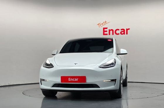 Tesla Model Y Long Range AWD — пробег 117 769 км — фото 3 из 5